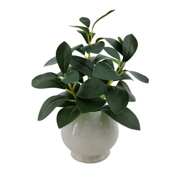 Mainstays Indoor Artificial Peperomia Plant in White Ceramic Pot, 11-Inch | Walmart (US)