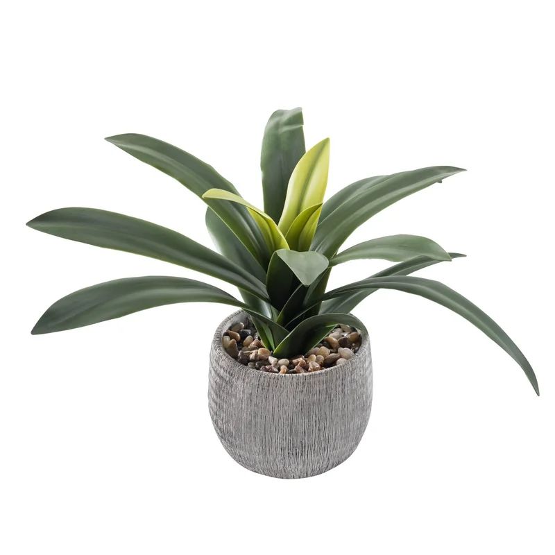 14.5" Artificial Foliage Plant in Pot | Wayfair North America