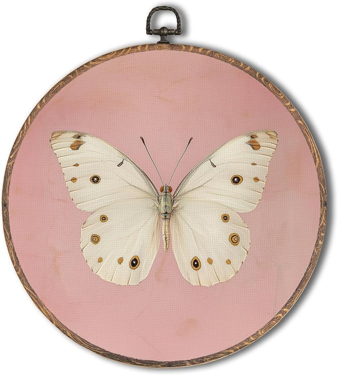 Tzhim Pink Vintage Butterfly Round Wall Art, Neutral Moody Butterfly Round Wall Decor Framed, Ret... | Amazon (US)