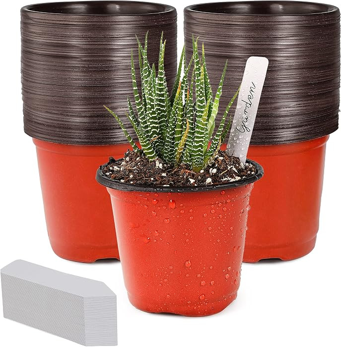 TDHDIKE 4" Small Plastic Plant Nursery Pot/Pots (100pcs) Seedlings Flower Plant Container Seed St... | Amazon (US)