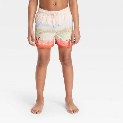 Boys' Desert Printed Swim Trunks - art class™ Cream | Target