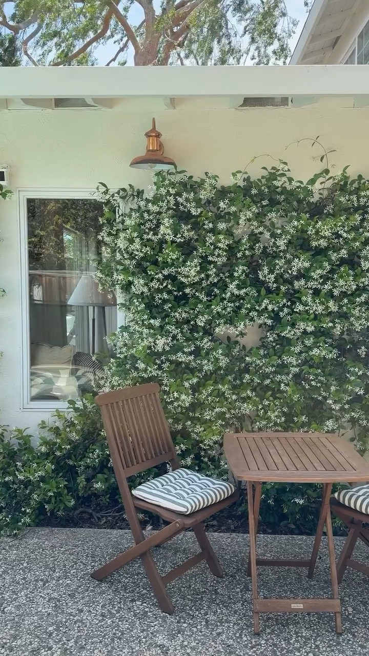 It never gets old 🌱 this Jasmine trellis wall brought so much charm to that side of our backyard and it gets better year after year. 

Comment Plant for a more details on how I did this. 

#housetohome #diyprojects