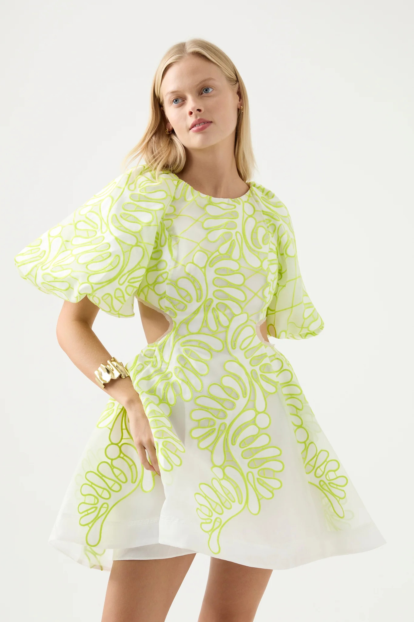 Botanical Applique Mini Dress | aje. (US, UK, Europe, ROW)