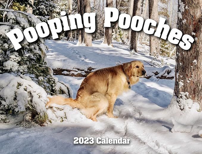 Pooping Pooches White Elephant Gag Gift Calendar | Amazon (US)