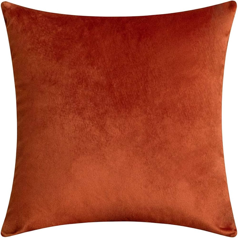 Comfortable Velvet Throw Pillow Case Decorative Solid Cushion Cover for Sofa Couch and Bed - 24"x... | Amazon (US)