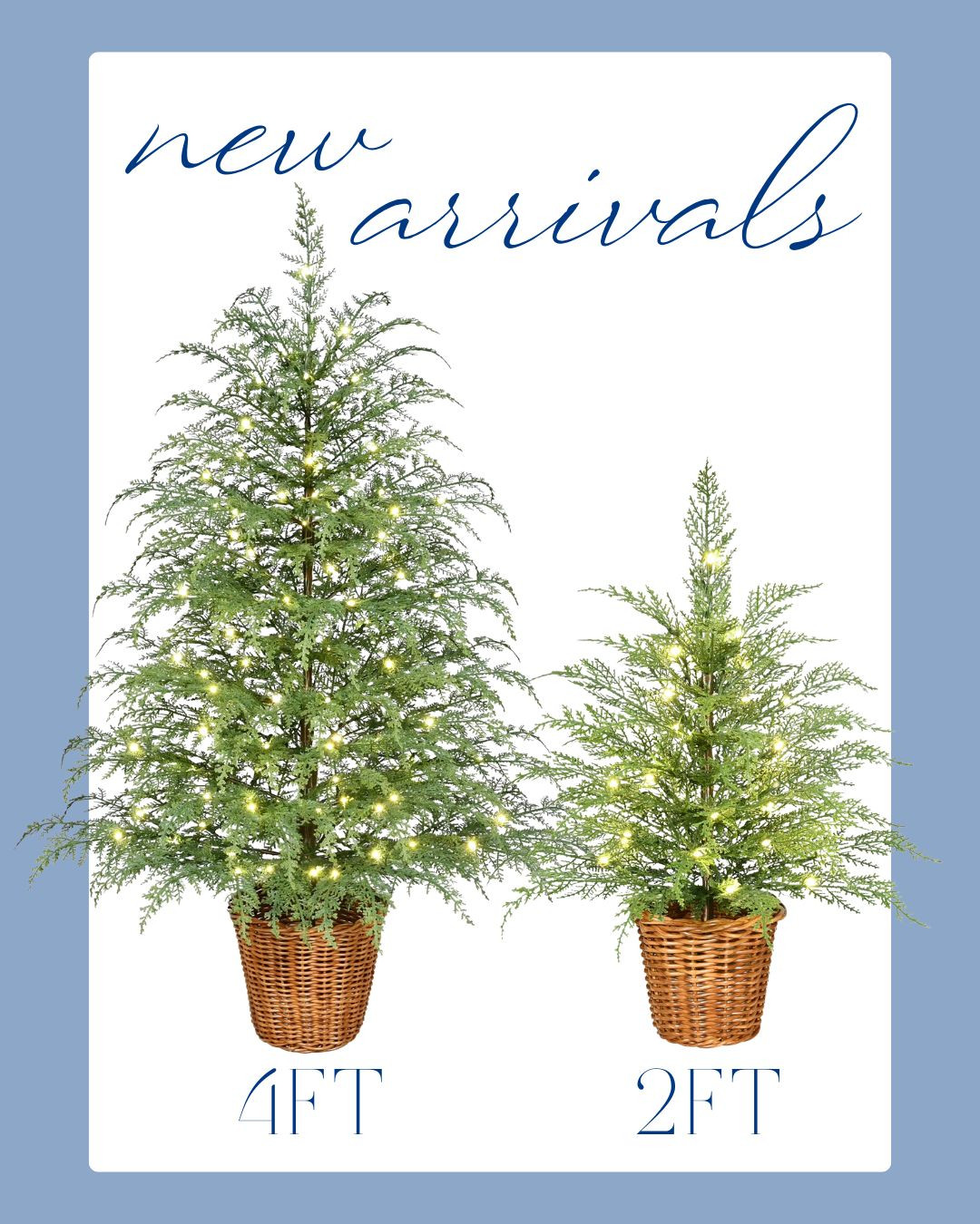 2ft and 4ft pre-lit cypress trees from My Texas House at Walmart! Love the rattan bases and how realistic they look! 

Christmas, holiday decor, Walmart finds, My Texas House, wreath, bows, ribbon, red, green 

 #LTKSeasonal #LTKHome