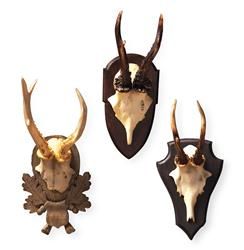 Alsace Hunt Club Reproduction Antler Wall Mount Trophy- Set of 3 | Kathy Kuo Home
