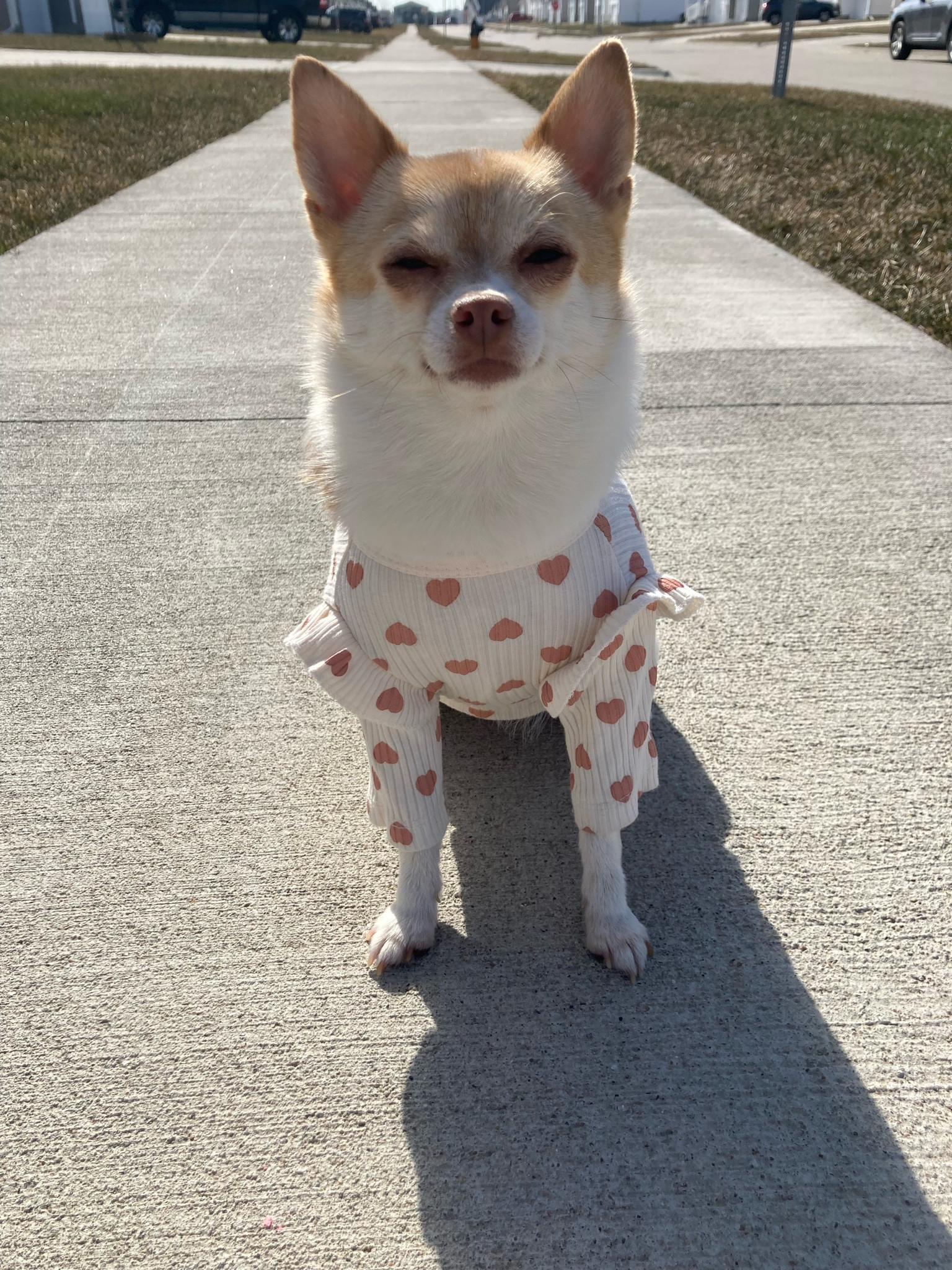 will you be my valentine?!🩷🤍