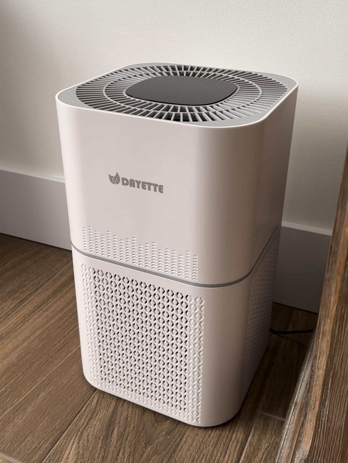 Air purifier for a healthier home! Breathe clean air! absorbs dust, smoke, pollen, odor, pet dander, and even cooking smells! Healthy home, Amazon find | Amazon (US)