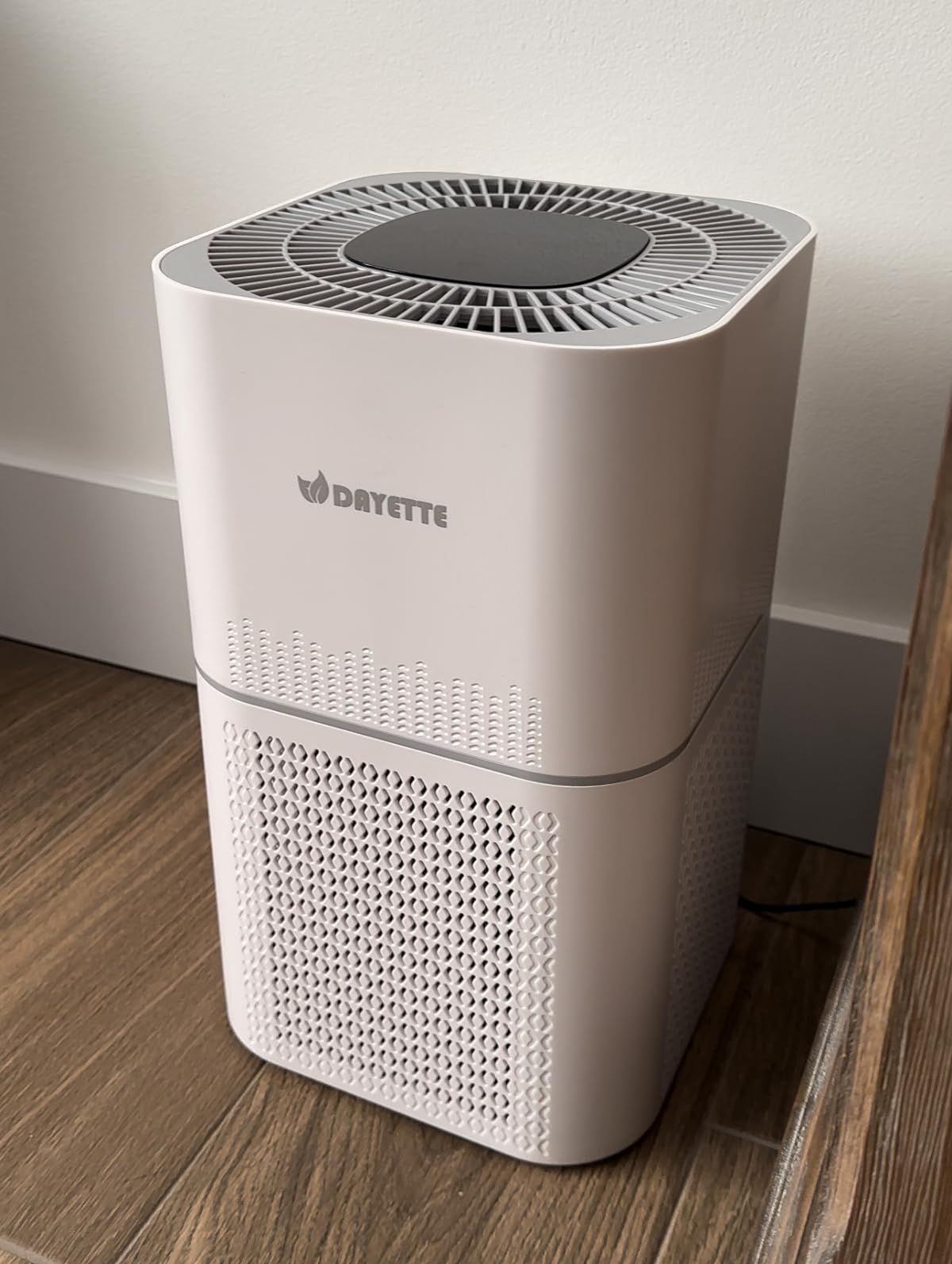 Air purifier for a healthier home! Breathe clean air! absorbs dust, smoke, pollen, odor, pet dander, and even cooking smells! Healthy home, Amazon find | Amazon (US)