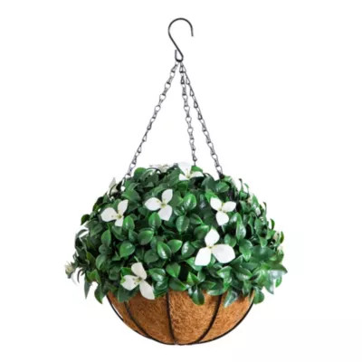 Nearly Natural 18-Inch UV Resistant Artificial Gardenia Hanging Basket (Indoor/Outdoor), White | Belk