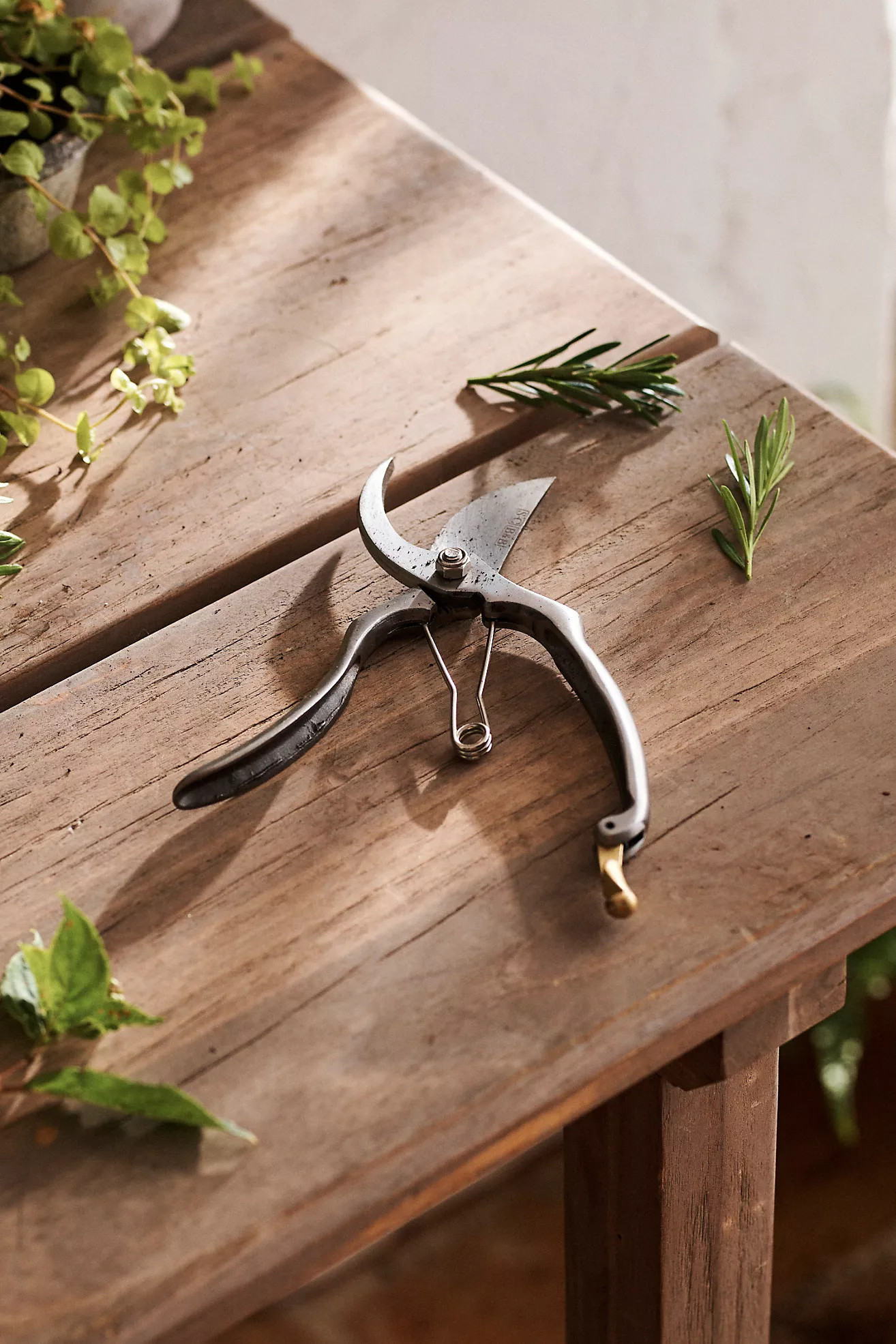 Sophie Conran for Burgon & Ball Secateurs | Anthropologie (US)
