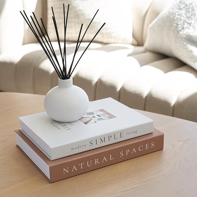 Beautiful Decorative Books - Set of 2 Boxes Enhance Your Coffee Table, Bookshelf or Mantle Decor ... | Amazon (US)