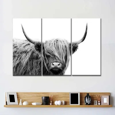 BW Highland Cow On Canvas 3 Pieces Set | Wayfair North America