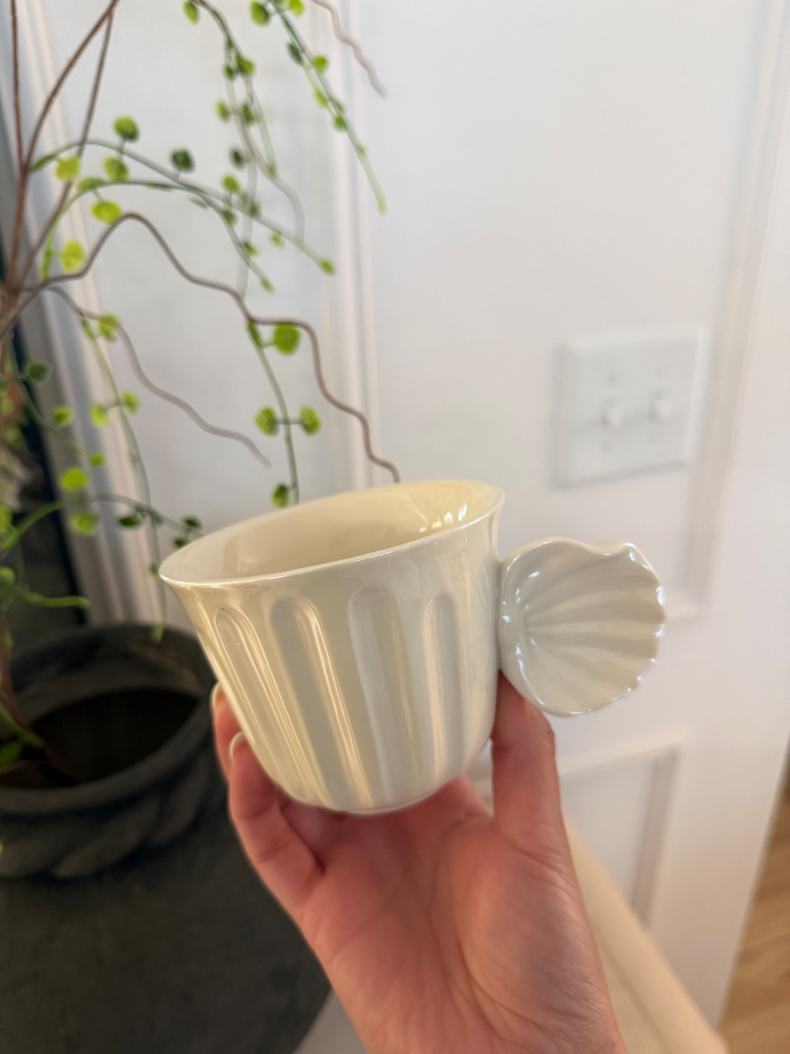 The most beautiful summer shell coffee mug under $10 😍

#LTKFestival #LTKHome #LTKSeasonal