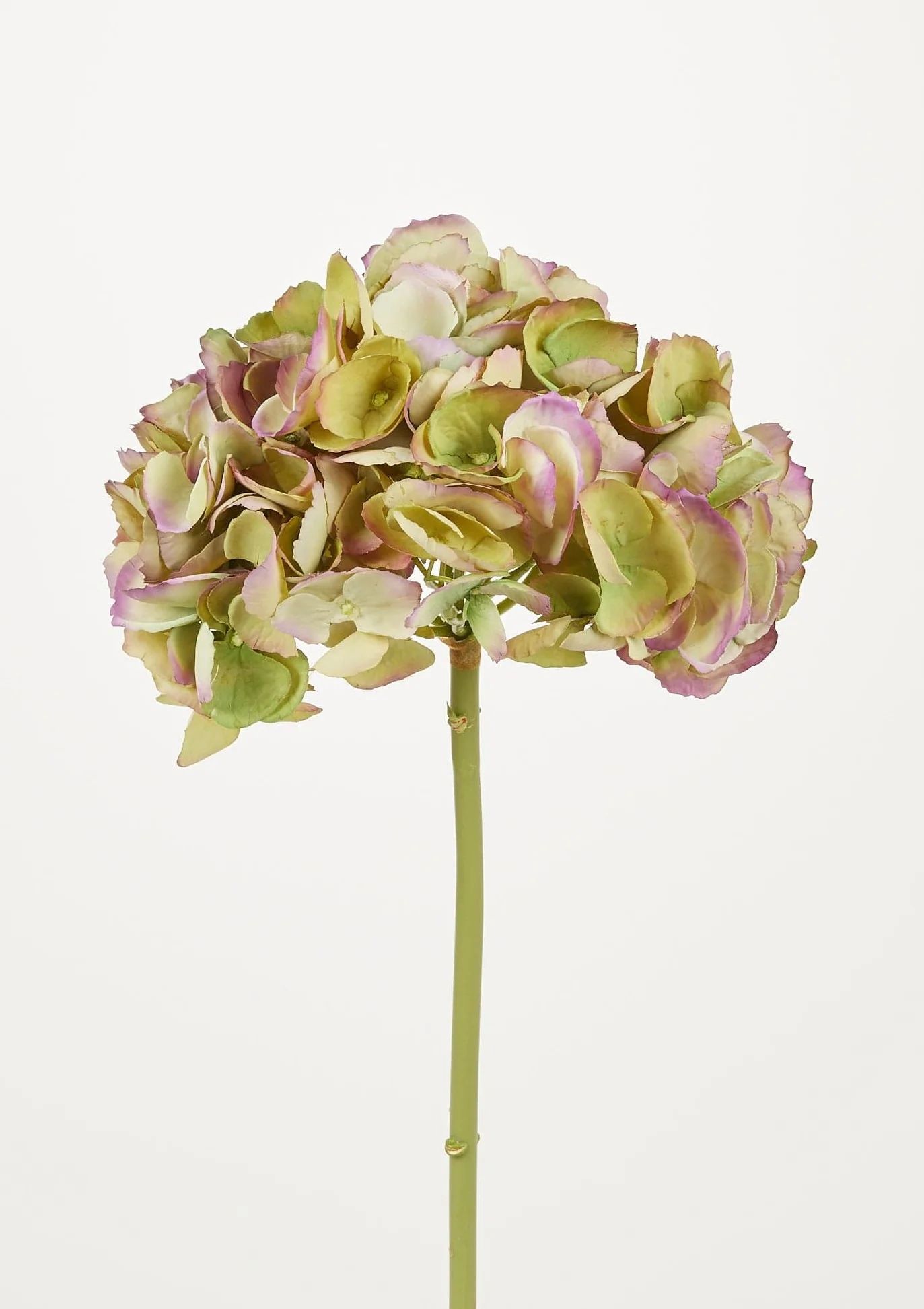 Oversized Antique Green Artificial Hydrangea - 19" | Afloral