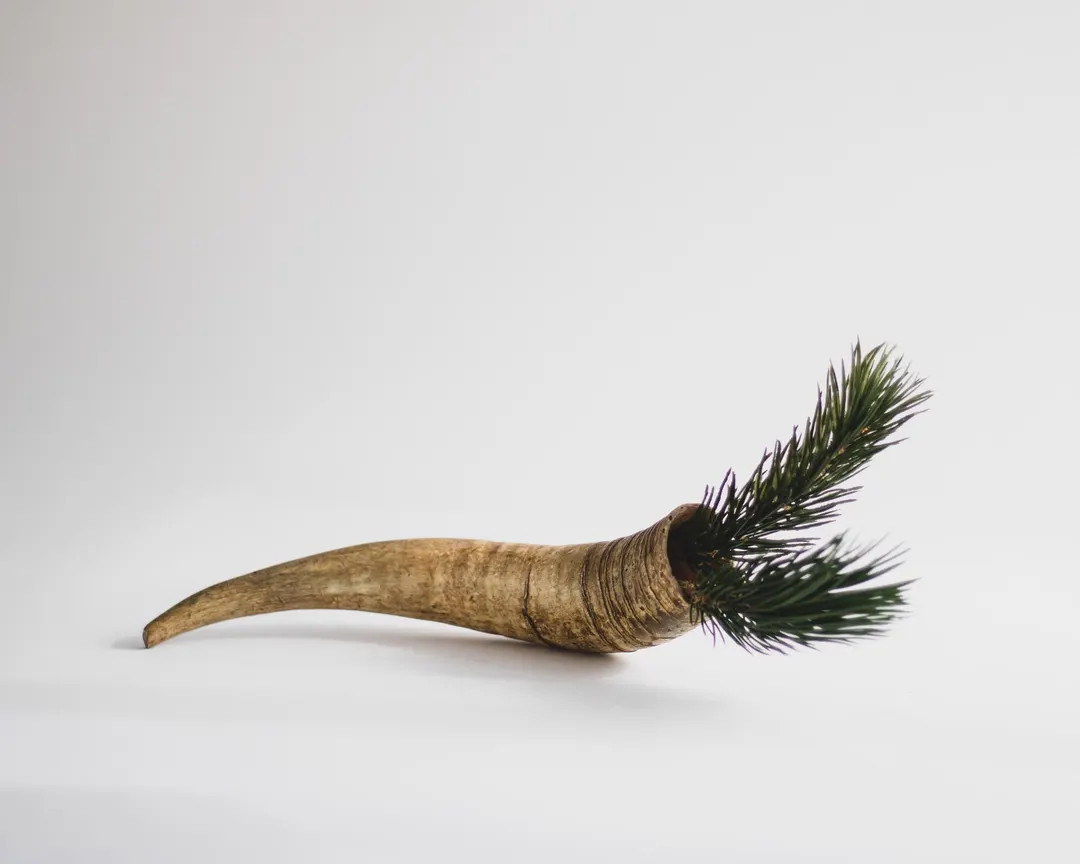 Vintage Hollow Cow Horn for Man Cave Decor, Rustic Dad Gift, Nordic Scandinavian Fall Winter Holi... | Etsy (US)