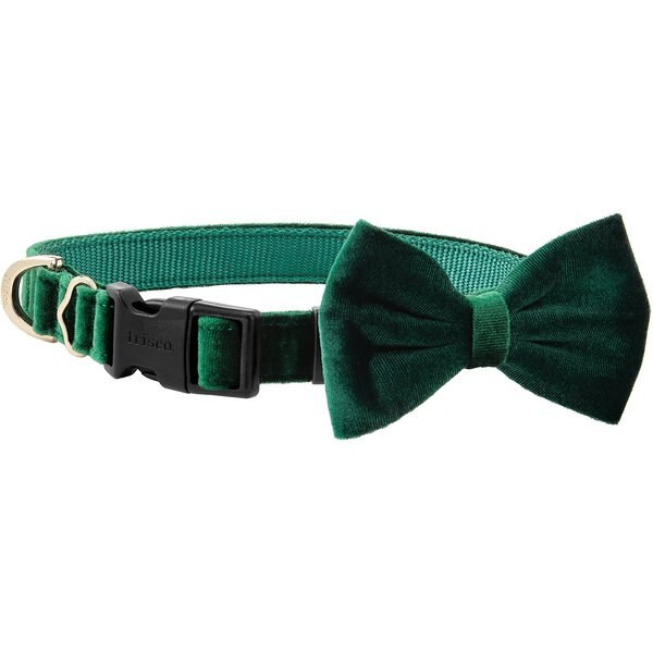 Frisco Velvet Dog Collar With Removeable Velvet Bow | Chewy.com