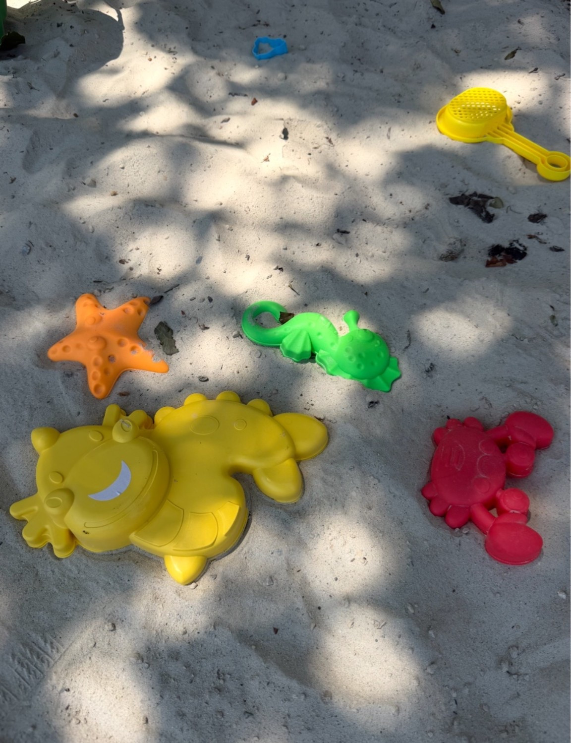 Kids beach toys