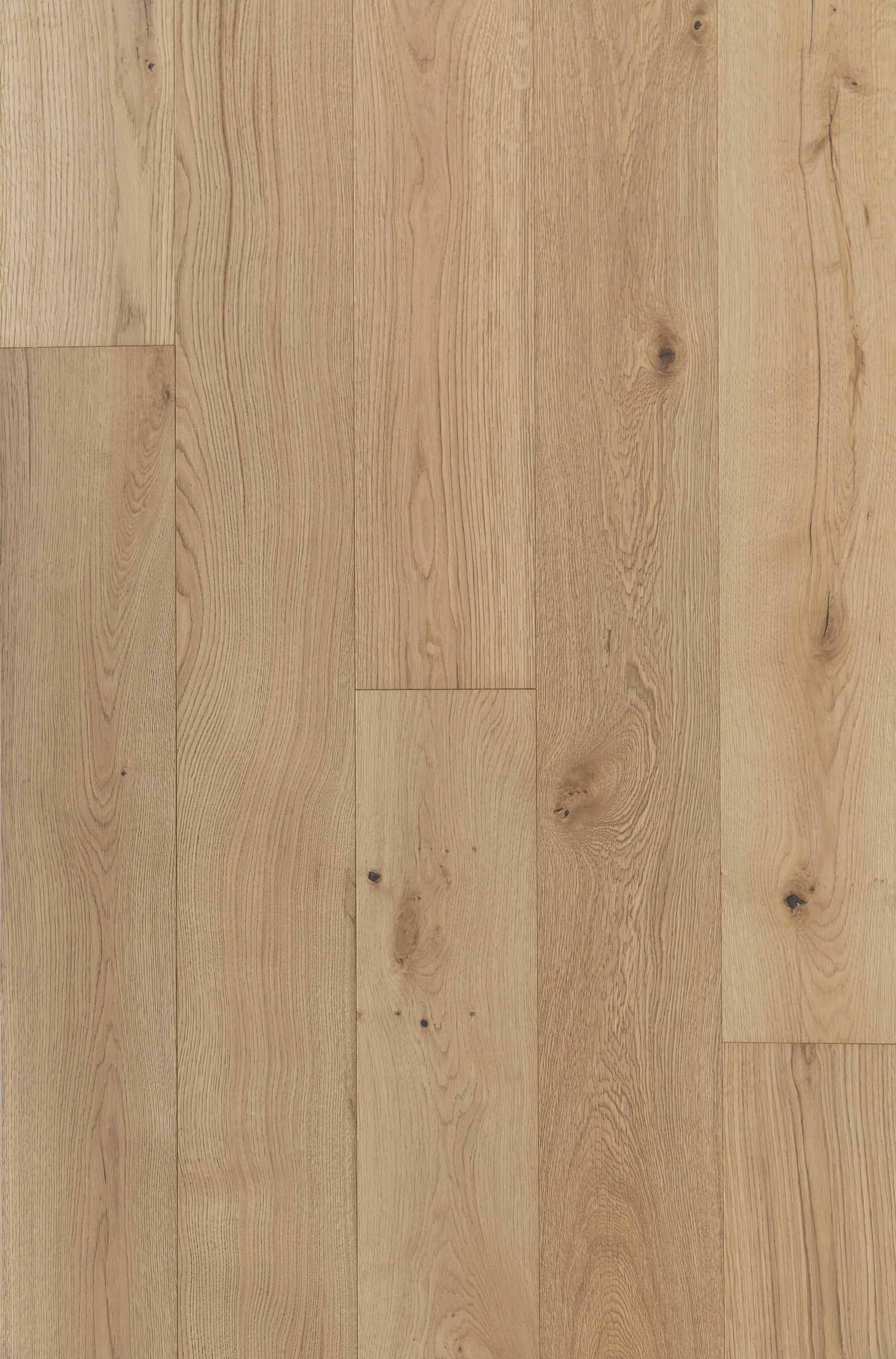 Villa Barcelona (Sample) Goya White Oak Engineered Wirebrushed Hardwood Flooring in Brown | LOWMTTG610SAMP | Lowe's