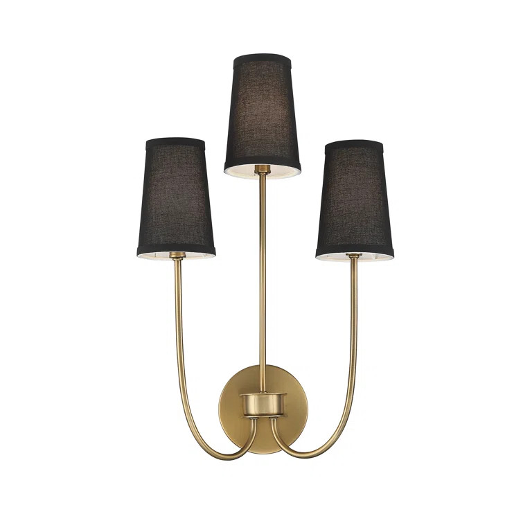 Revel Steel Armed Sconce | Wayfair North America