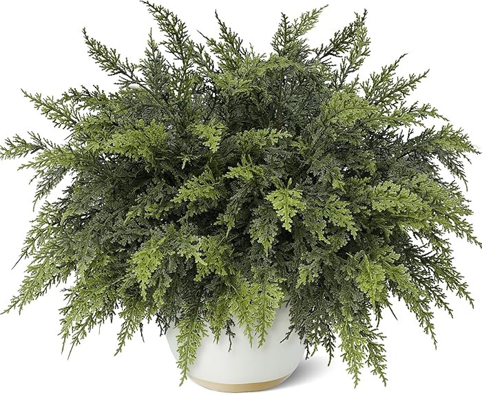 18" Real Touch Cedar Branches -12 Pcs, Artificial Christmas Cedar Branch Realistic Fake Pine Pick... | Amazon (US)