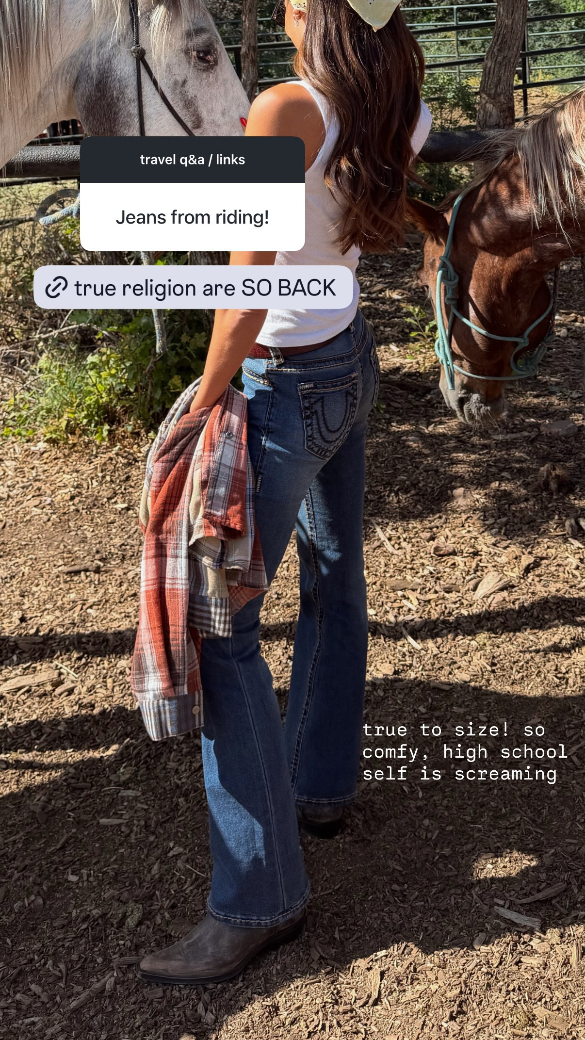 true religion jeans are SO back 

 