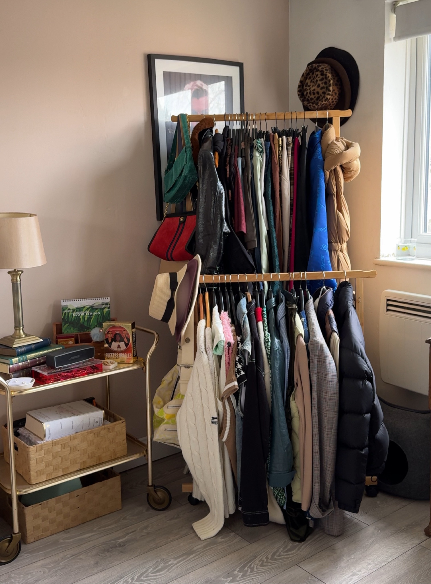 Clothes rail 🫶🏼