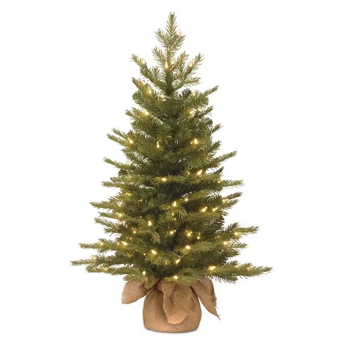 National Tree Company 3-ft Spruce Pre-Lit Slim Artificial Christmas Tree with 100 Constant White ... | Lowe's