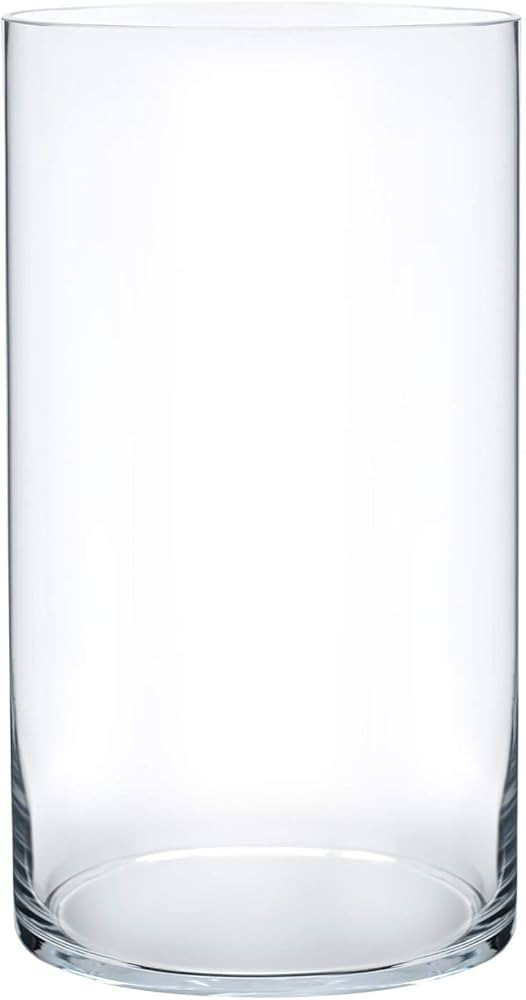Royal Imports Flower Glass Vase Decorative Centerpiece for Home or Wedding - Cylinder Shape, 12" ... | Amazon (US)