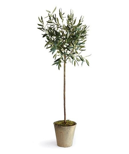 Faux Potted Olive Tree | Zulily