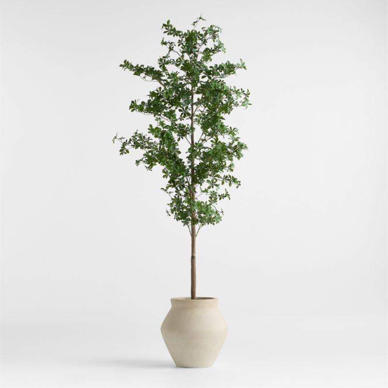 Potted Faux Black Olive Tree 7.5' | Crate & Barrel | Crate & Barrel