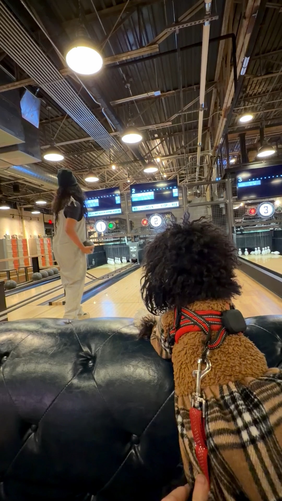 A quiet, soul-filling weekend after Easter 🤍
After spending most of the weekend at home, watching the skies in Austin and preparing for the storm, I realized how much I needed that pause. It was a mix of doing so much… yet also slowing down in the ways that truly matter.
.
I finally stepped out for a little fun—bowling at the most pet-friendly spot (because you already know my pups come first 🐾). It felt so good to laugh, move, and reconnect with simple joy after a cozy, reflective few days indoors.

This Easter reminded me that renewal doesn’t always look loud or extravagant. Sometimes it’s quiet moments, safe spaces, and small outings that bring us back to ourselves.

Grateful for this balance, for protection through the storm, and for this beautiful LTK community that continues to inspire, support, and grow together 💫

Wishing you all a peaceful and love-filled Easter season 🤍✨

#LTKvlog #LTKdayinmylife #LTKSaleAlert