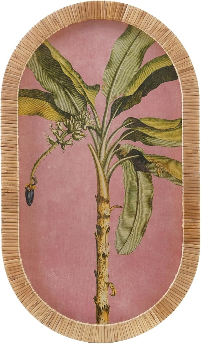 Creative Co-Op Wood Framed Palm Tree Rattan Wall Decor | Amazon (US)