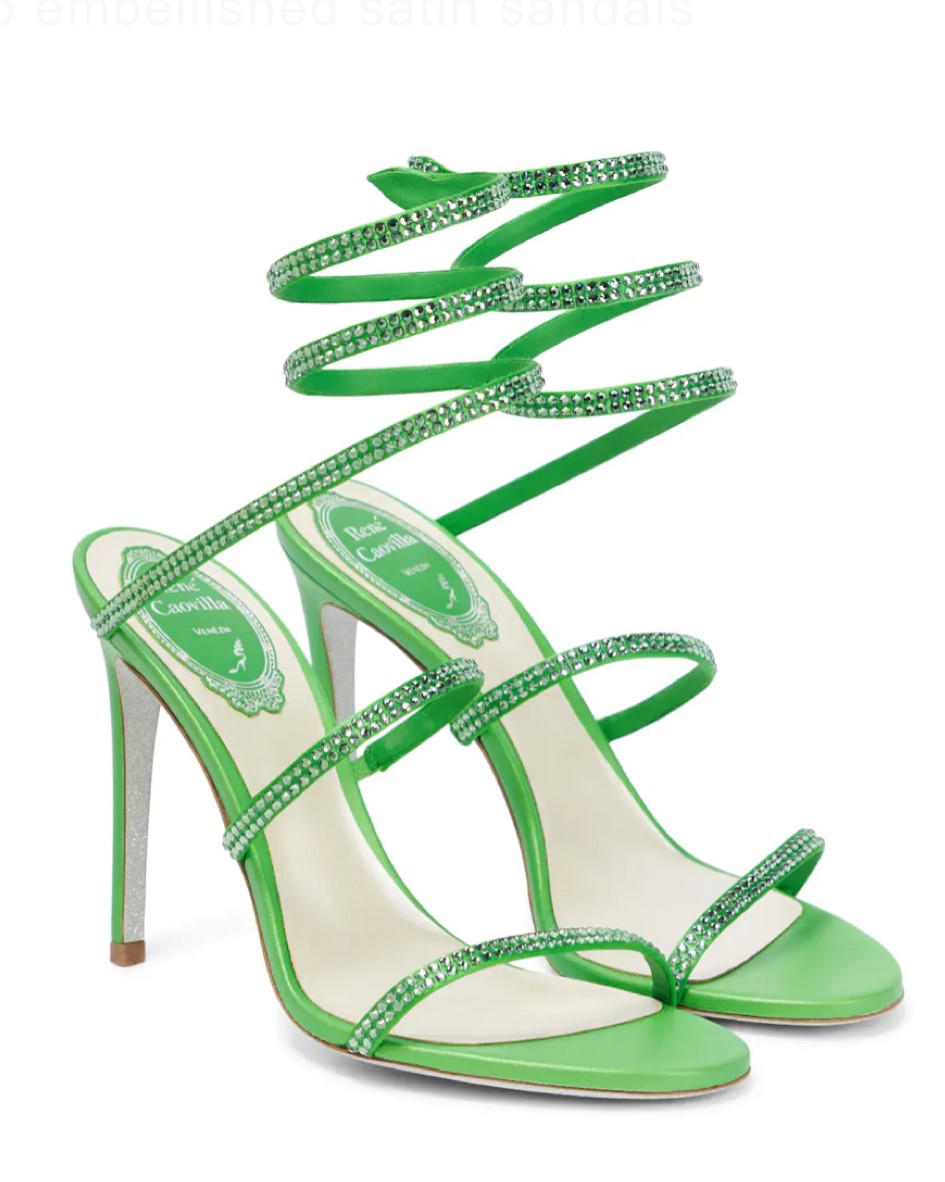 Rene Caovilla Cleo embellished satin sandals

#LTKHoliday #LTKGiftGuide #LTKSeasonal