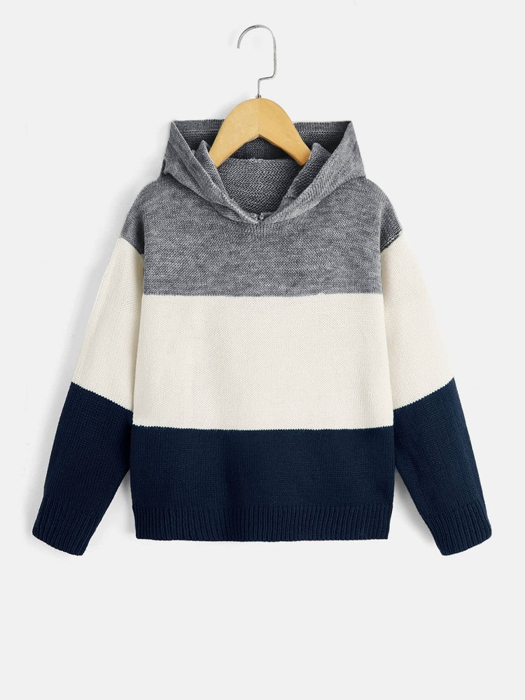 SHEIN Boys Colorblock Hooded Sweater | SHEIN