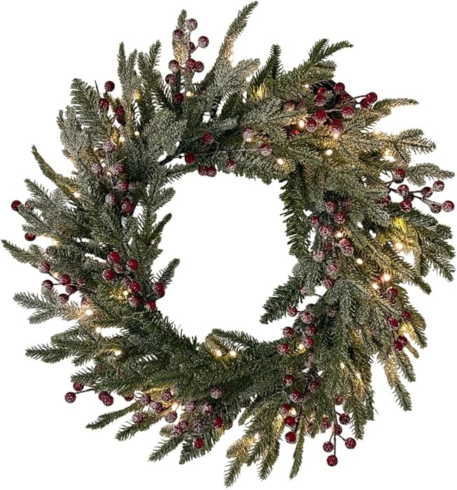 24" Prelit Christmas Wreath with LED Lights, Snow-Flocked Pine, Red Berries & Pine Cones, Holiday... | Amazon (US)
