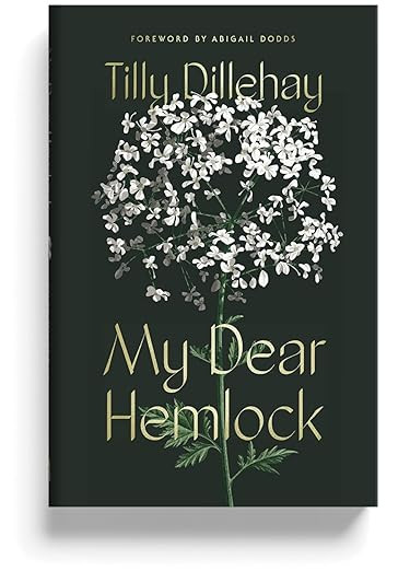 My Dear Hemlock - A Christian Living Book for Women, Guard Against Vices, Grow in Virtue, Christi... | Amazon (US)