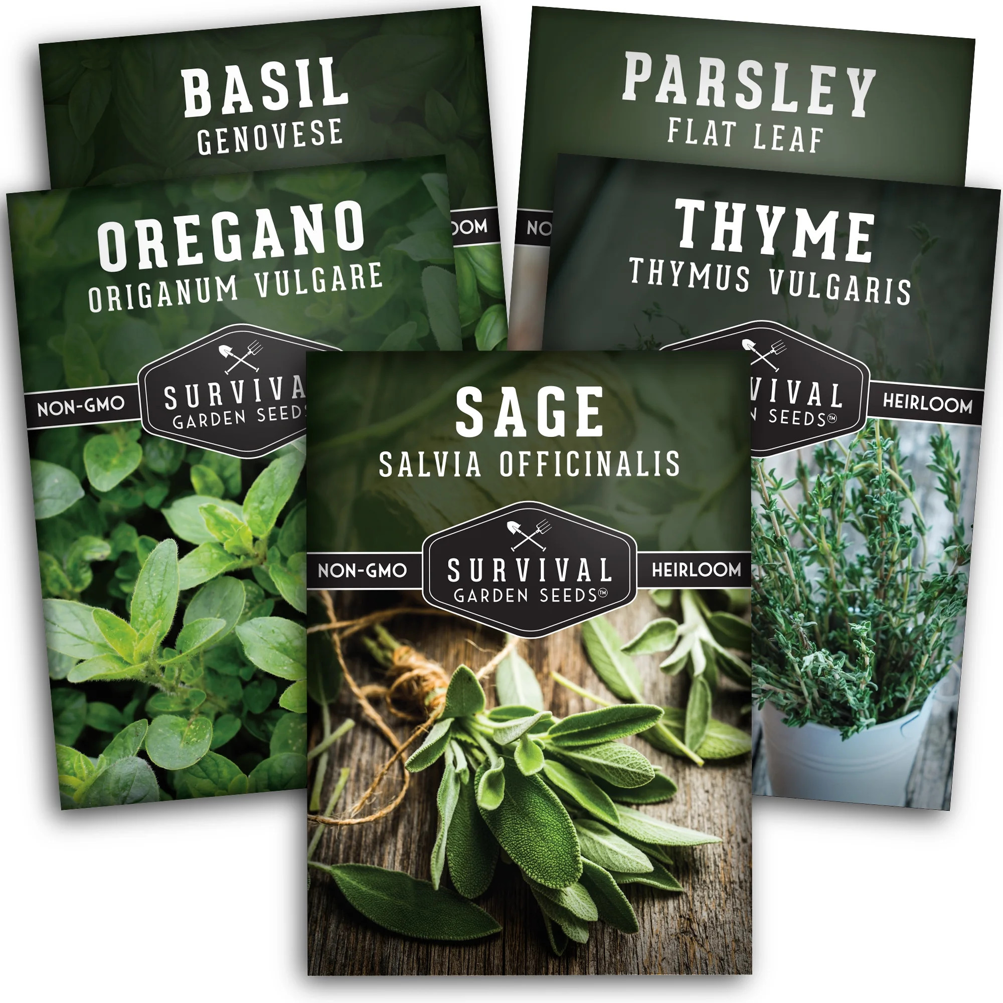 Survival Garden Seeds - 5 Italian Herbs - Basil, Oregano, Thyme, Sage, Flat Leaf Parsley - Non-GM... | Walmart (US)