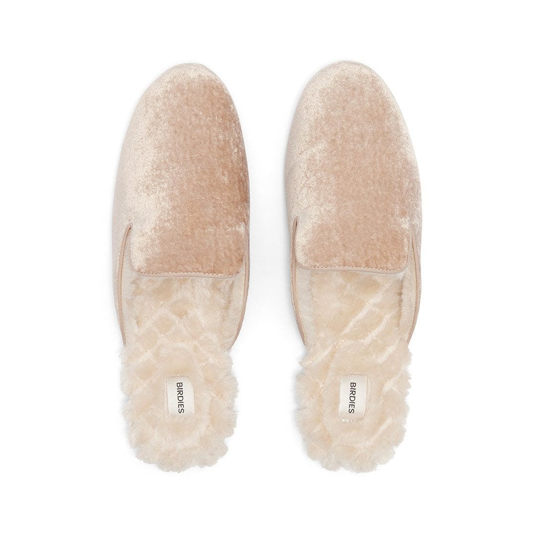 the phoebe | BIRDIES