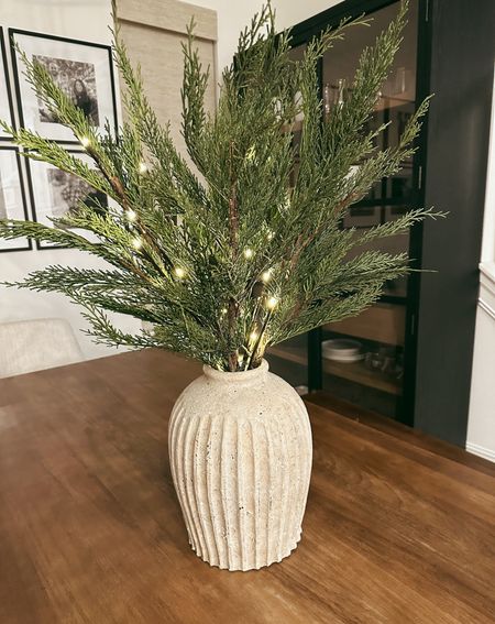 Faux cypress stems - linked exact items and similar ones! 

LED pick lights I found at my Target dollar spot, but also linked similar. 

Christmas stems 
Holiday stems 
Holiday florals 

#LTKhome #LTKSeasonal #LTKHoliday