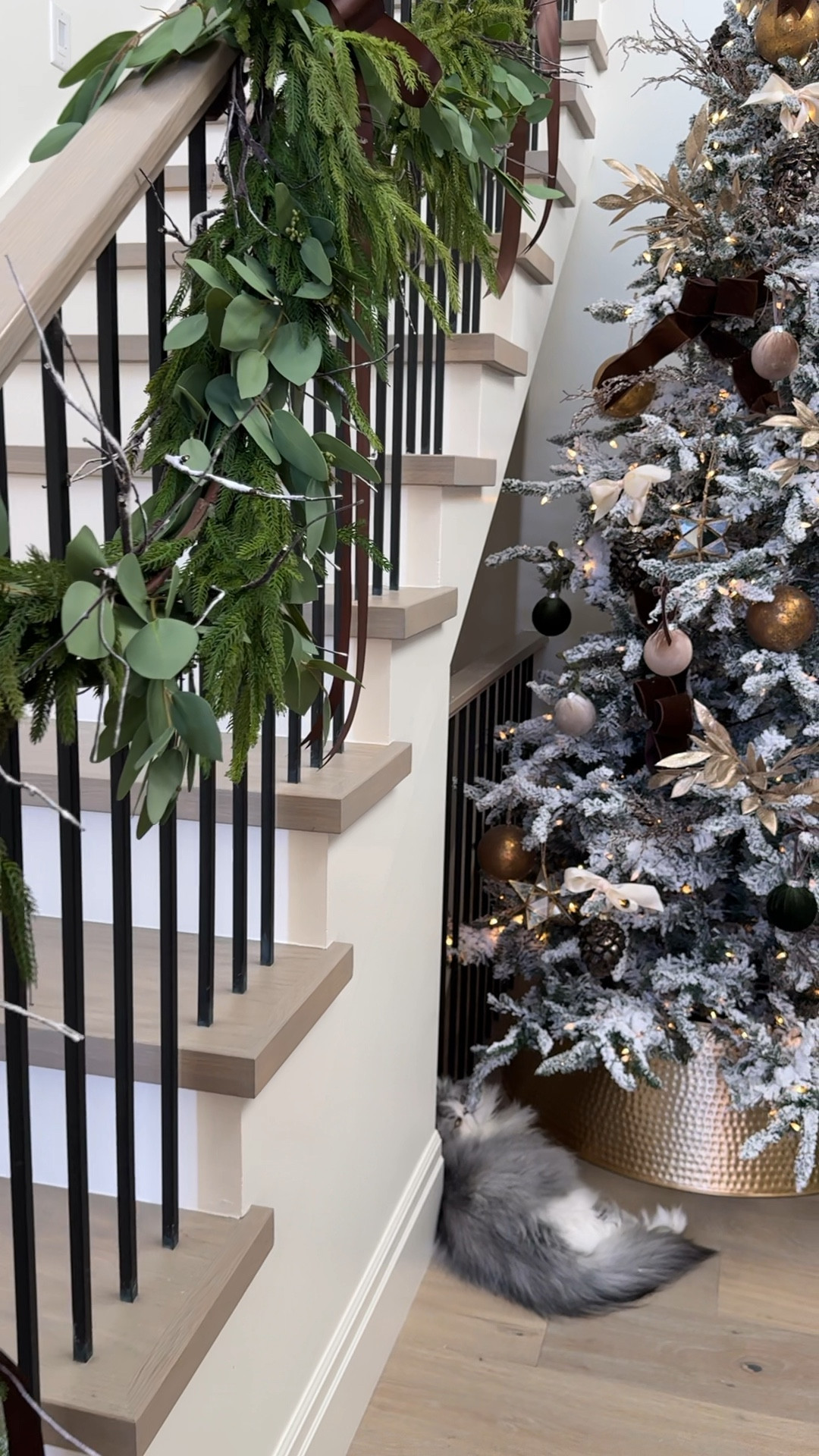 Christmas holiday home decor

Amazon home, walmartt