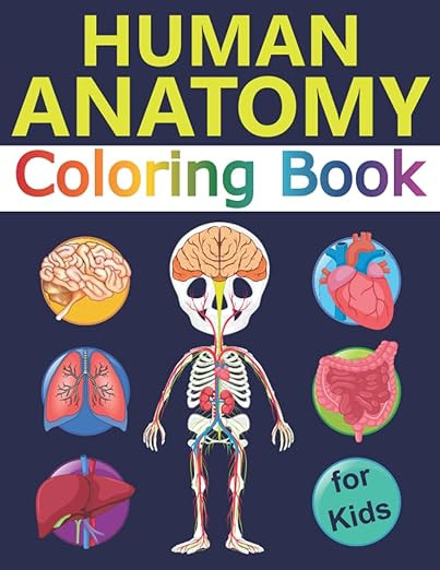 Human Anatomy Coloring Book for Kids: Over 30 Human Body Coloring Sheets, Great Gift for Boys & G... | Amazon (US)