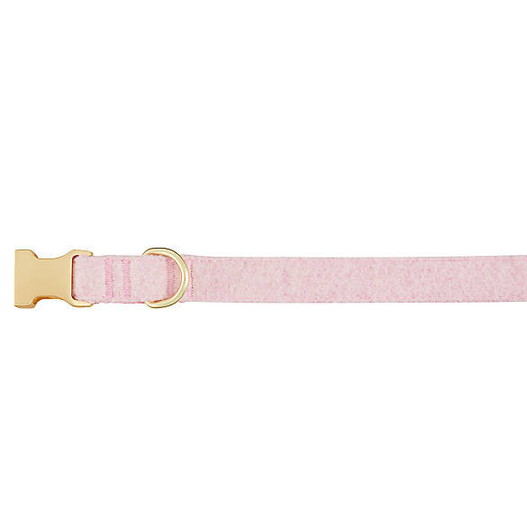 Top Paw® Pink Wool Dog Collar | PetSmart