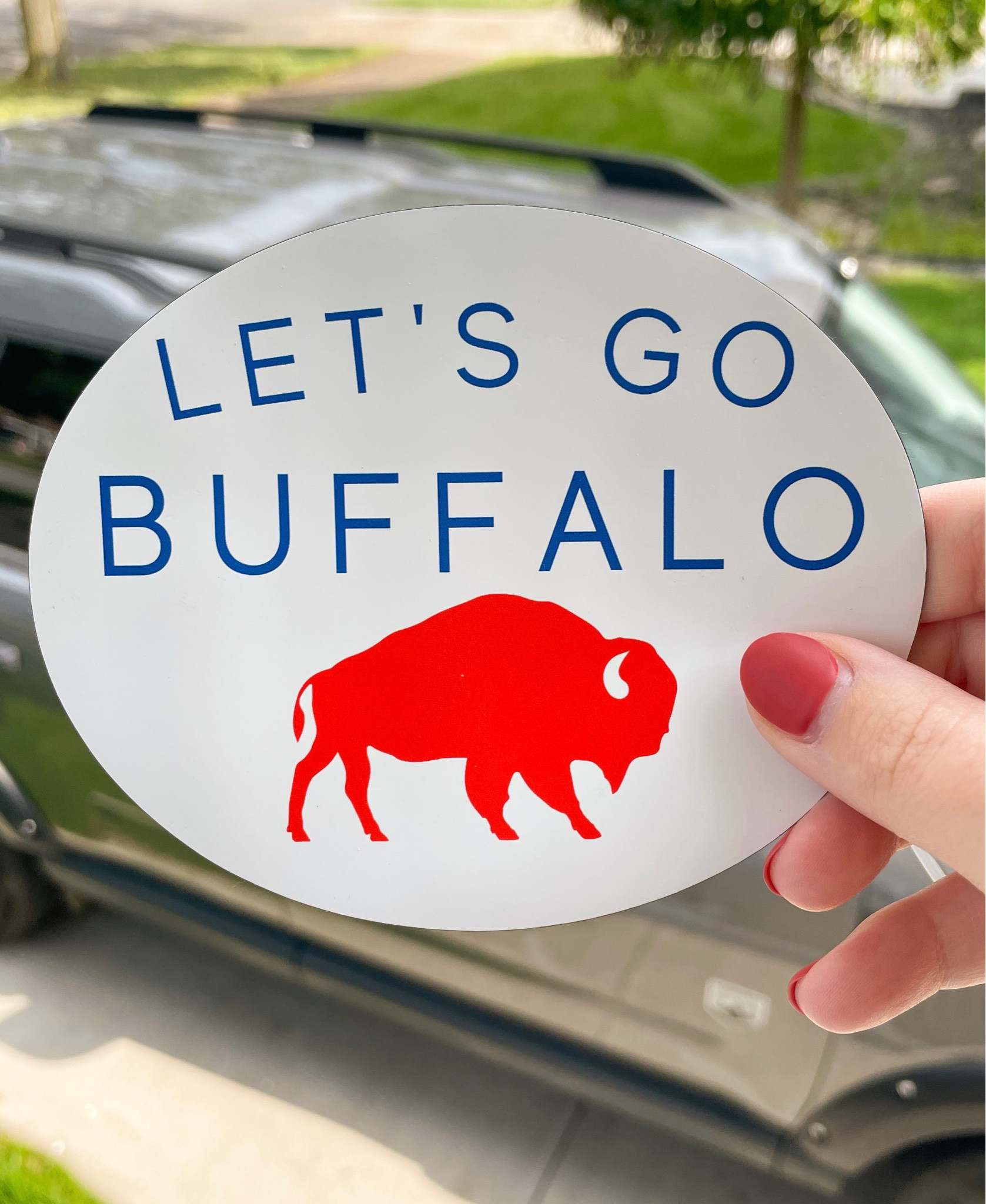 Cheering on Buffalo with this “Let’s Go Buffalo” magnet!

#LTKhome #LTKGiftGuide #LTKfindsunder100
