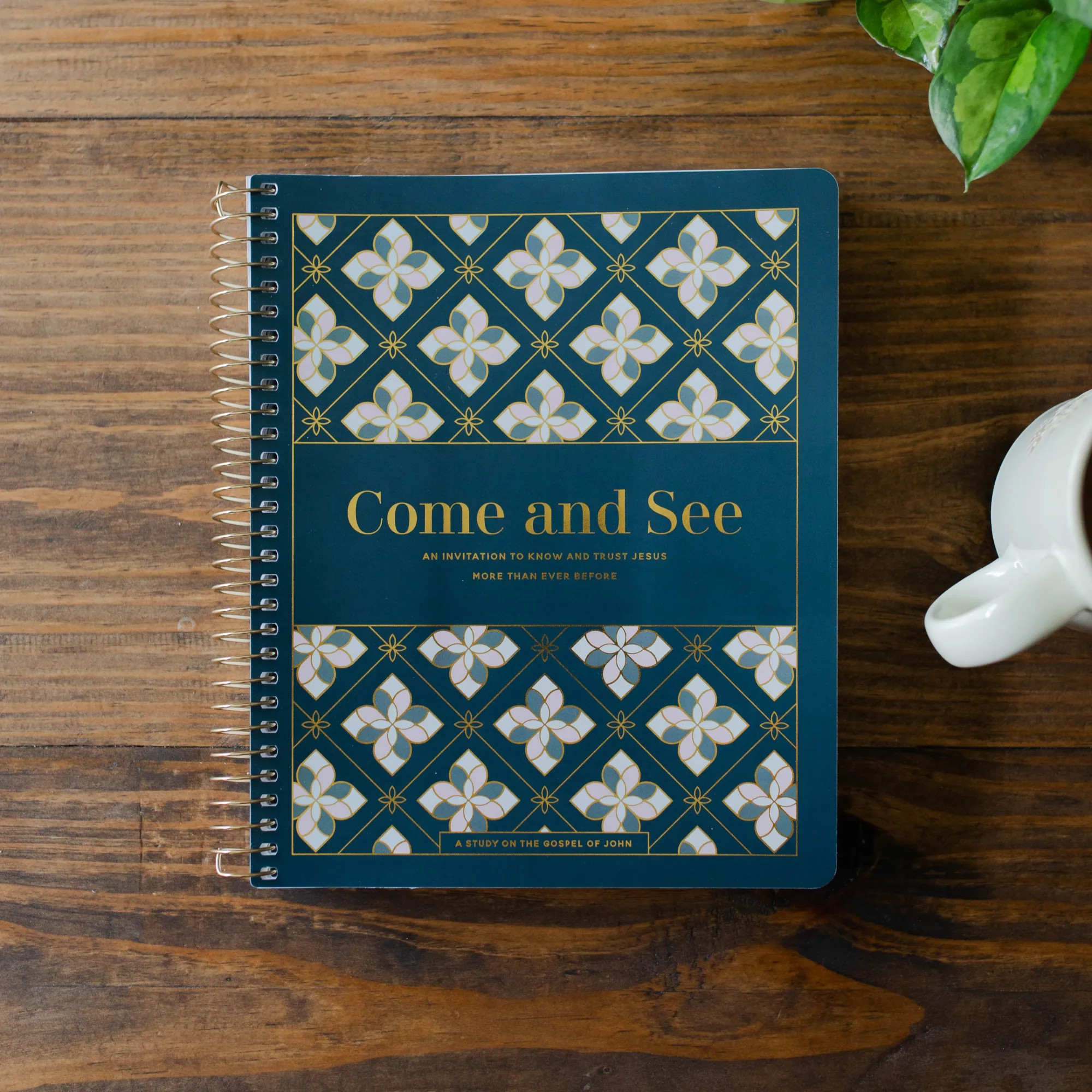 Come and See | Bible Study on John | The Daily Grace Co.