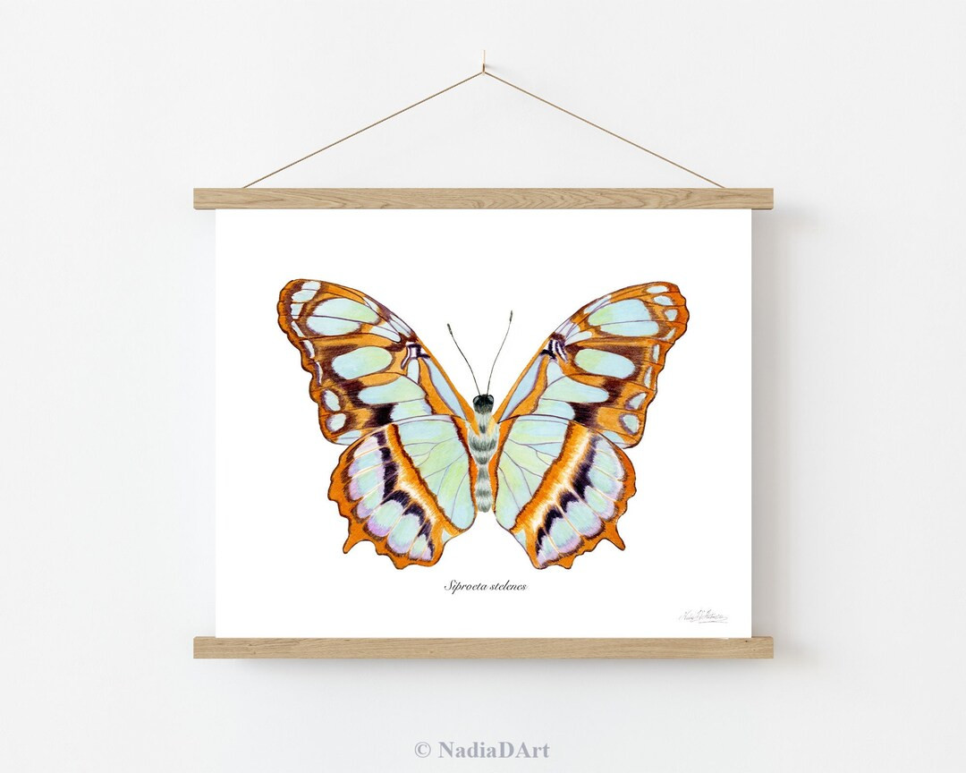 Malachite Butterfly Print, Colorful Butterfly Wall Art, Boho Butterfly Print, Rainbow Butterfly P... | Etsy (US)