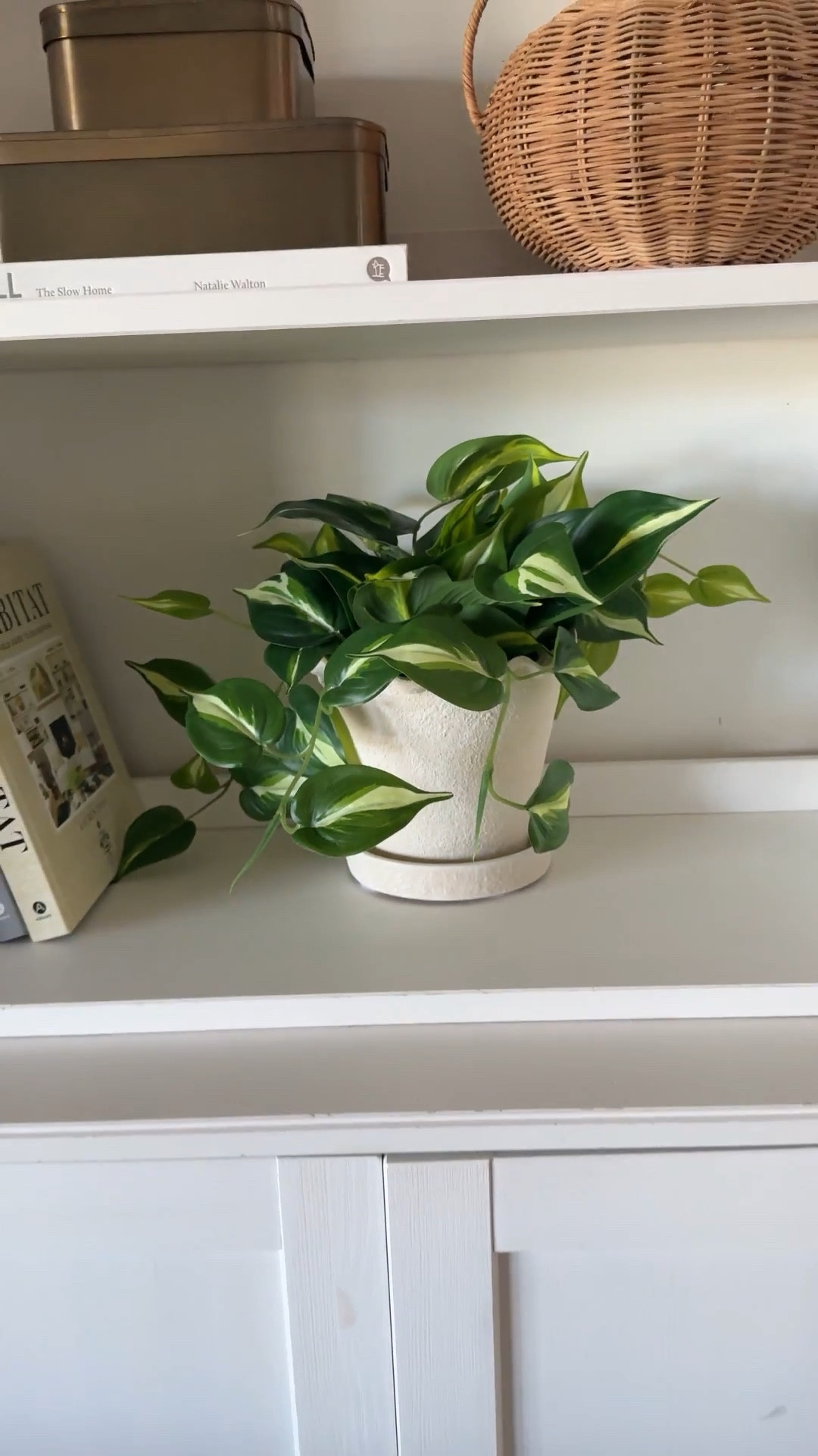 Faux greenery added to a scallop edge planter 

#LTKSeasonal #LTKHome