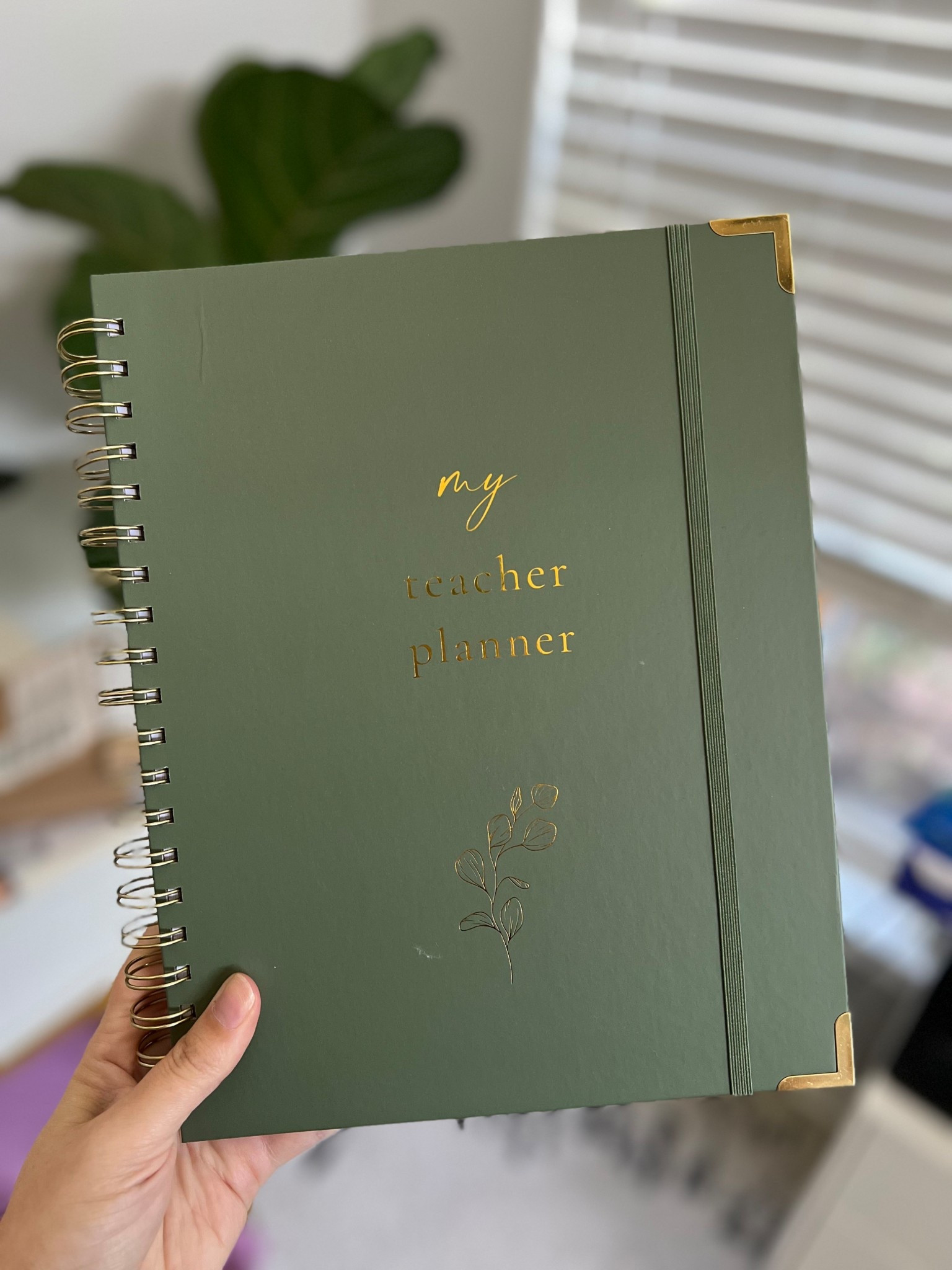 Entering my homeschool mom era! Found the perfect Teacher Planner and it’s SUPER affordable! 👩🏻‍🏫

#LTKFamily #LTKKids #LTKSaleAlert