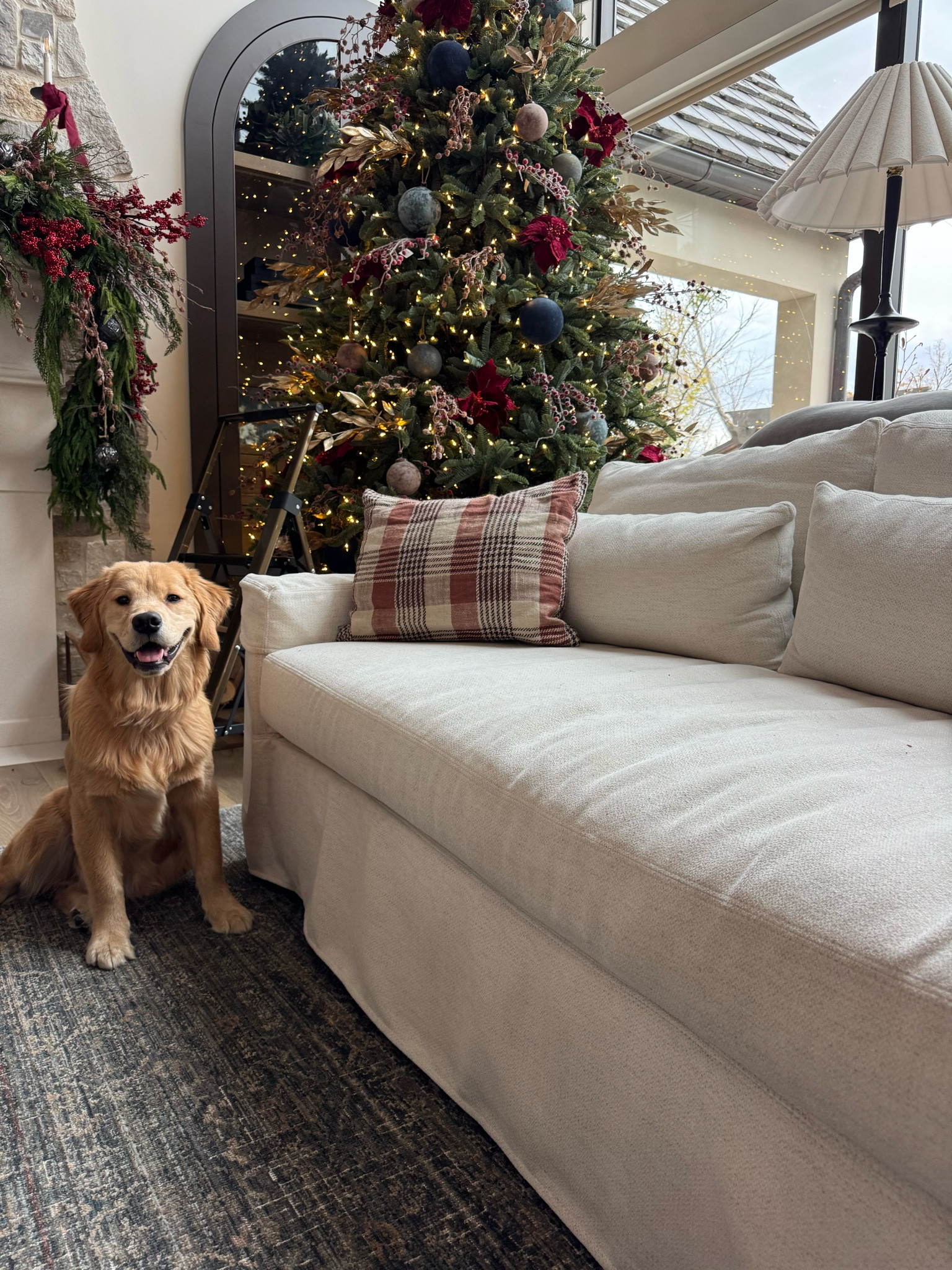 Christmas holiday decor is happening in my living room!

Pottery barn, McGee co, arhaus, rug

#LTKHome #LTKHoliday #LTKSeasonal